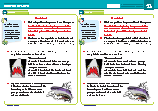 Chapter 15 - Extra Tasks 5 - Shark bait