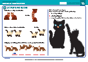 Chapter 16 - Extra Tasks 2 - Cat flips and slides