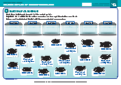Number Knowledge 2 - Extra Tasks 1 - Sorting for science