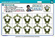 Number Knowledge 3 - Extra Tasks 1 - Turtle families