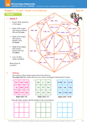 Chapter 5 - Puzzles - Shade it and Challenge